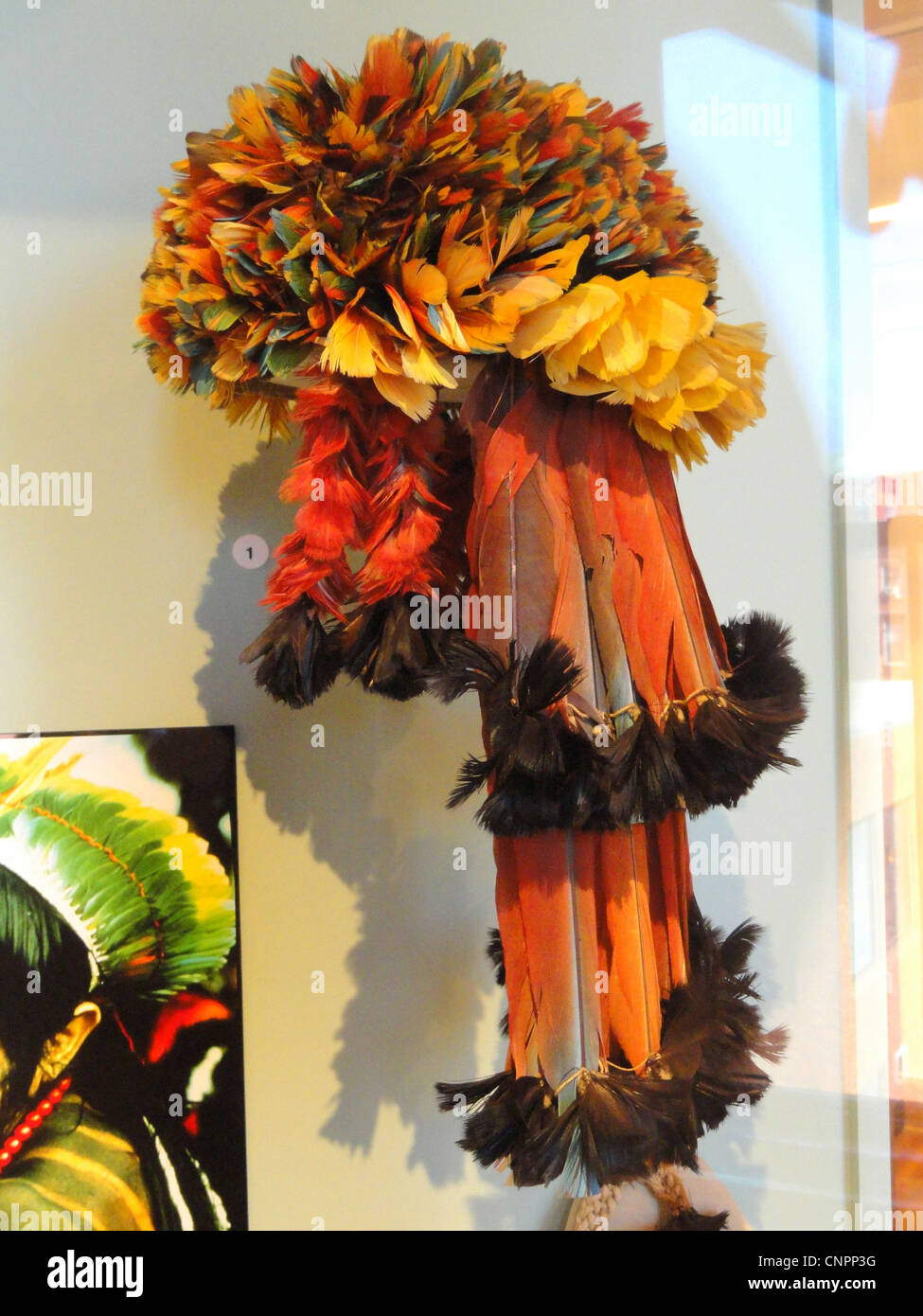 Copricapo, Munduruku persone, macaw e toucan piume - South American collezione - Museo Peabody, Harvard University Foto Stock
