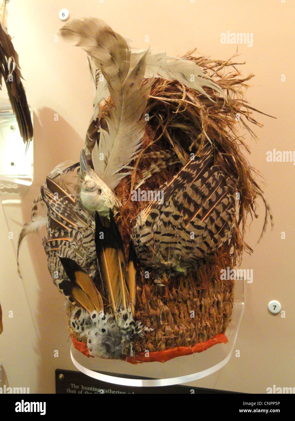Hat, Thompson river, corteccia di cedro con uccelli e le piume, data sconosciuta - native american collezione - Museo peabody, Harvard University Foto Stock