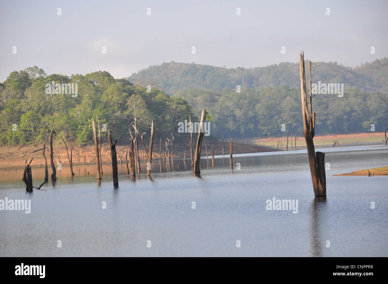 Una vista della diga mulaperiyar serbatoio al santuario del Periyar, Kerala Foto Stock