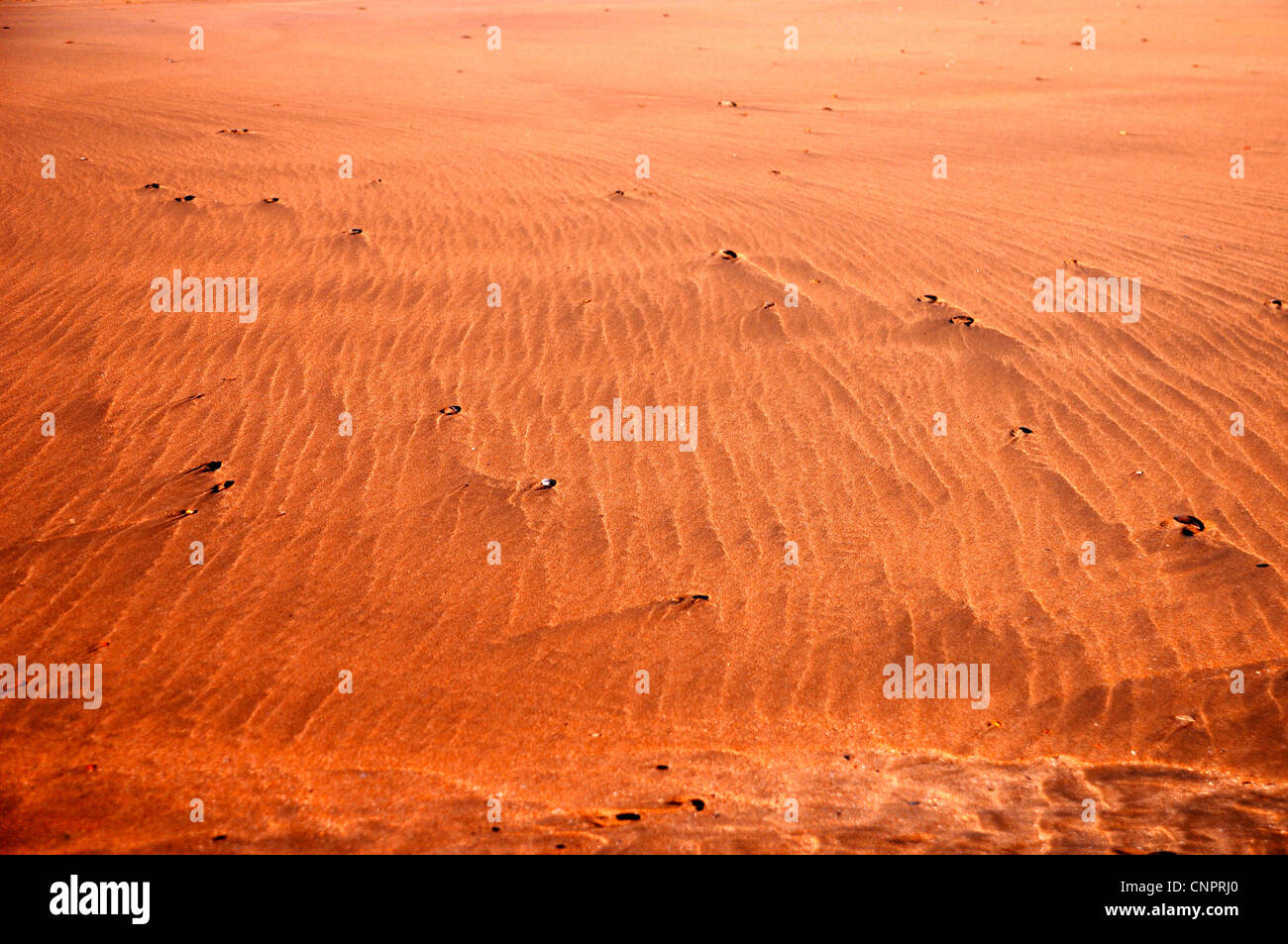 Marea in Hastings Foto Stock