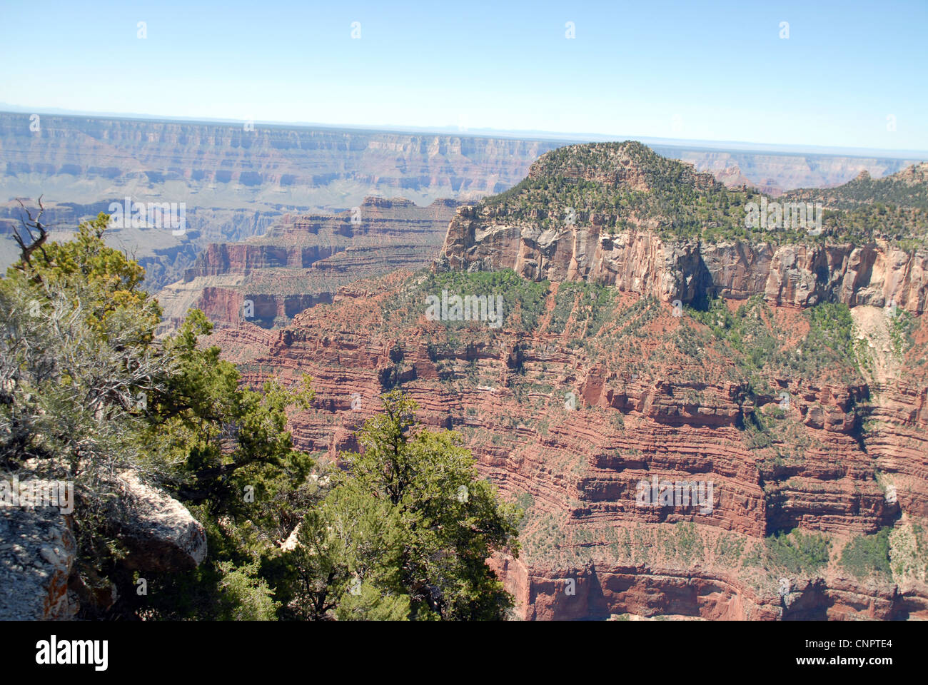North Rim Spring Touism north rim immagini e fotografie stock ad alta risoluzione - Alamy