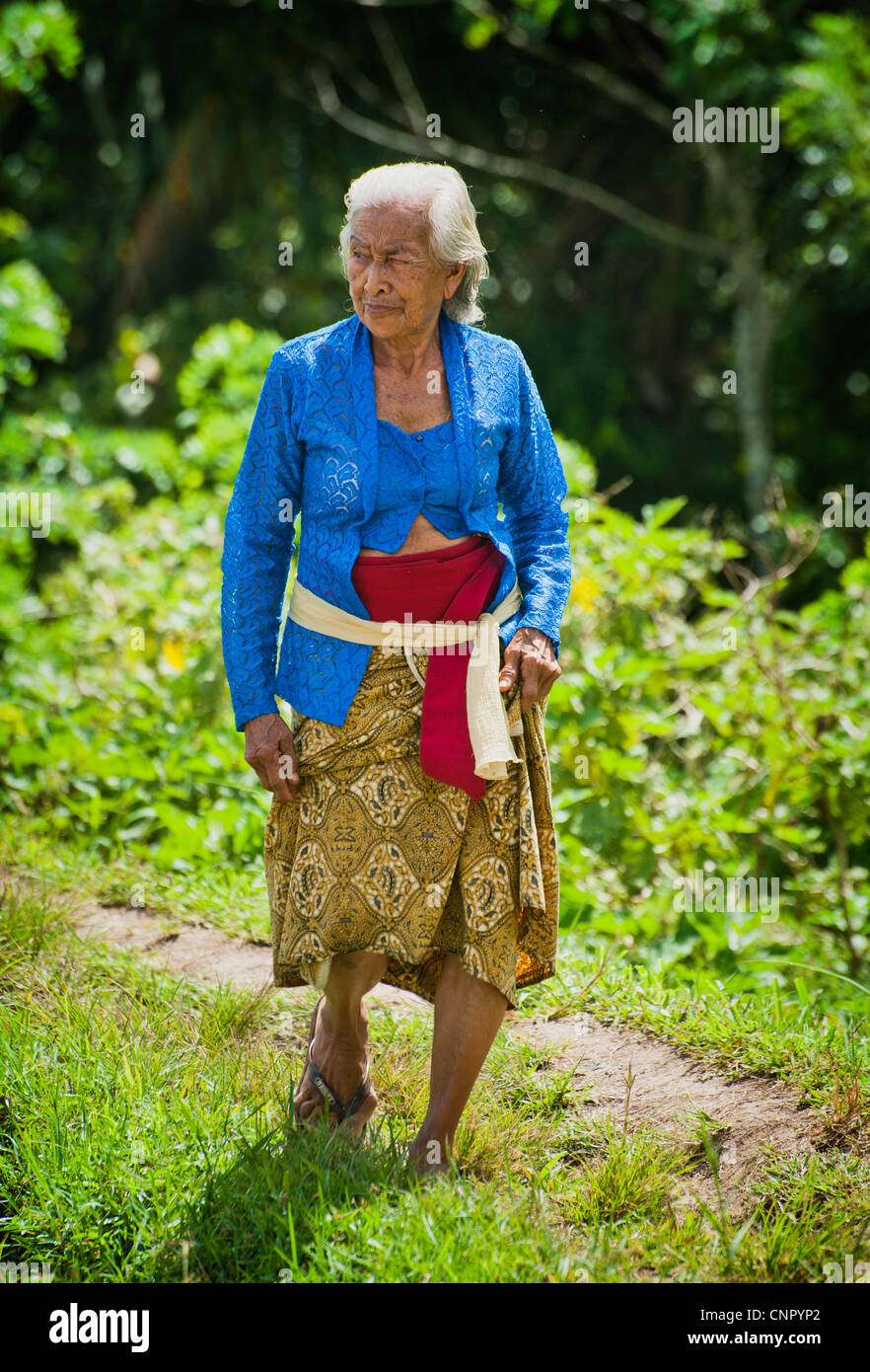 Una vecchia donna Balinese in abito tradizionale passeggiate attraverso i campi di riso di partecipare ad una cerimonia del tempio in Ubud, Bali, Indonesia. Foto Stock