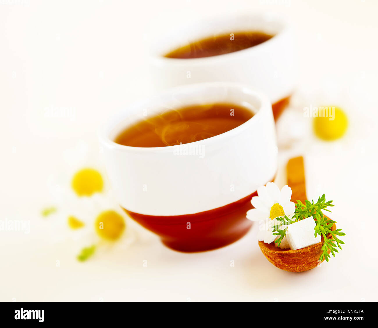 Herbal camomilla tazza di tè con fiori, profondità di campo Foto Stock