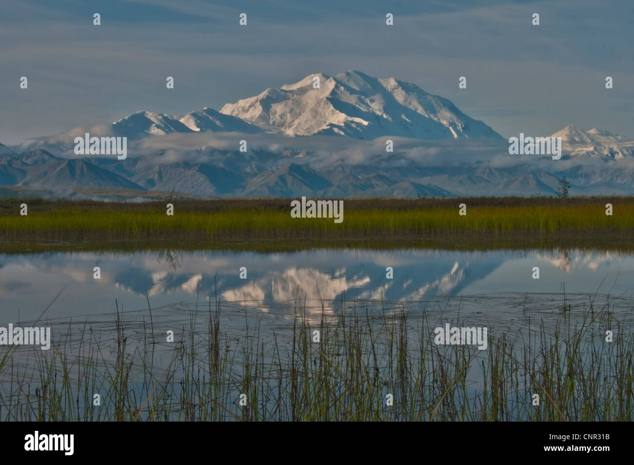 20320' Monte McKinley e l'Alaska Range riflette in uno stagno, Parco Nazionale di Denali, Alaska. Foto Stock