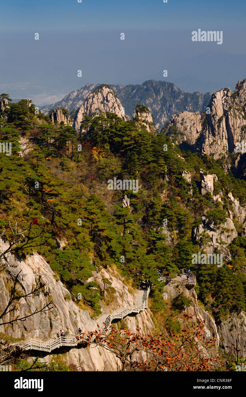 Oca Bianca cordolo marciapiede e ascendente e stalagmiti pista picchi a huangshan gialle di montagna la Cina Foto Stock