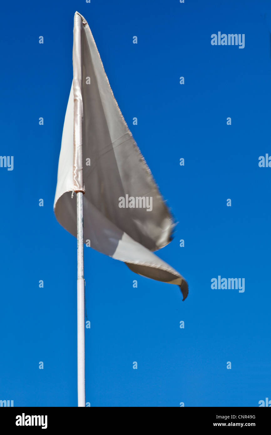 Ritratto verticale della carta bianca comune e nuova bandiera setosa che fluttua nel vento Foto Stock