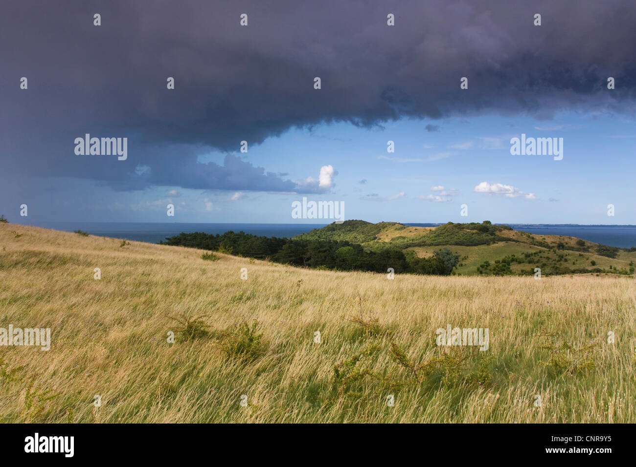 Il paesaggio costiero in atmosfera tempestoso, Germania, Meclemburgo-Pomerania, Hiddensee Foto Stock