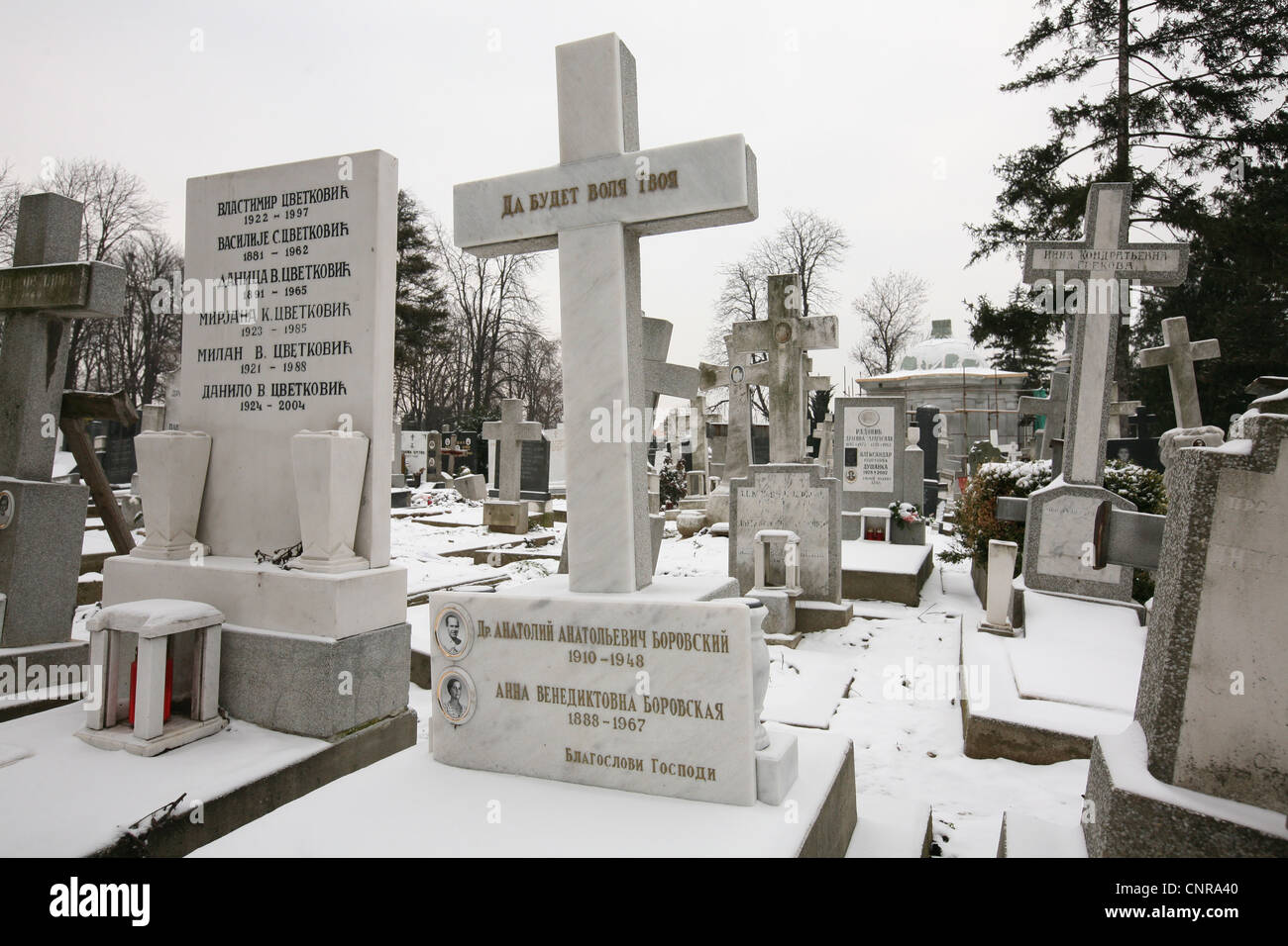 Tombe di emigrati russi in Novo Groblje cimitero (Nuovo Cimitero) a Belgrado in Serbia. Foto Stock