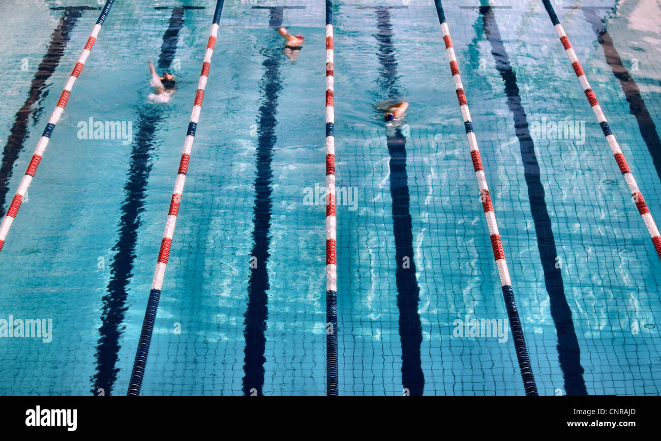 I nuotatori in corsie della piscina Foto Stock