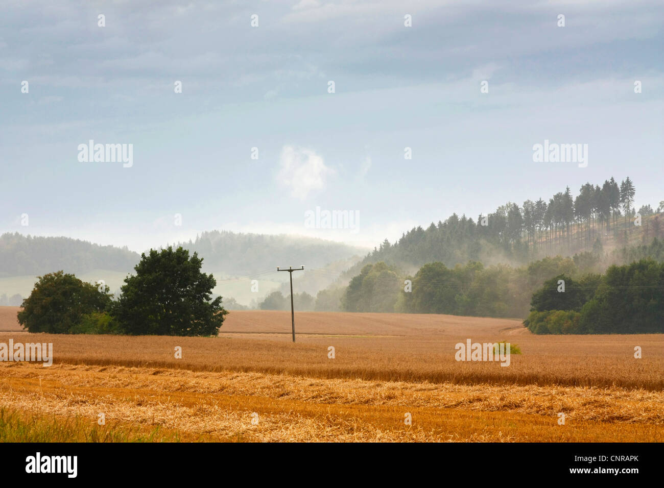 Sunrise in una nebbiosa mattina, in Germania, in Sassonia, Vogtlaendische Schweiz Foto Stock