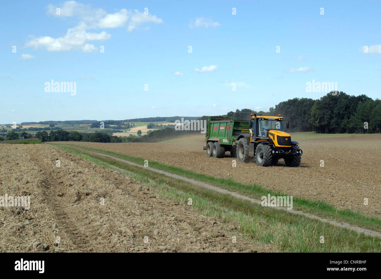 Campo di depilazione con il trattore, Germania Foto Stock