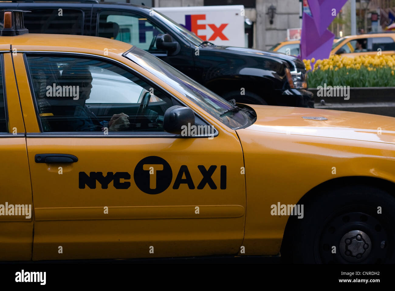 NYC Taxi driver su Park Ave guarda arte pubblica denominata Triphasique da Rafael Barrios, in attesa di una luce rossa Foto Stock