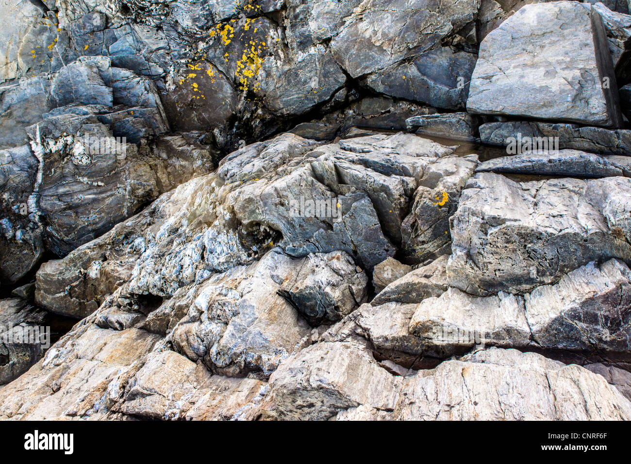 Roccia di granito sulla spiaggia di costa del Maine vicino a sud di Portland Foto Stock