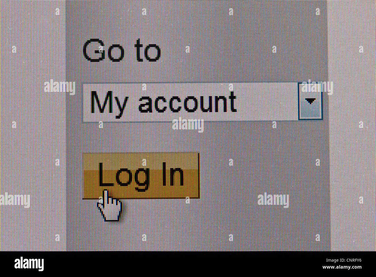 Log in pulsante sul sito web Foto Stock