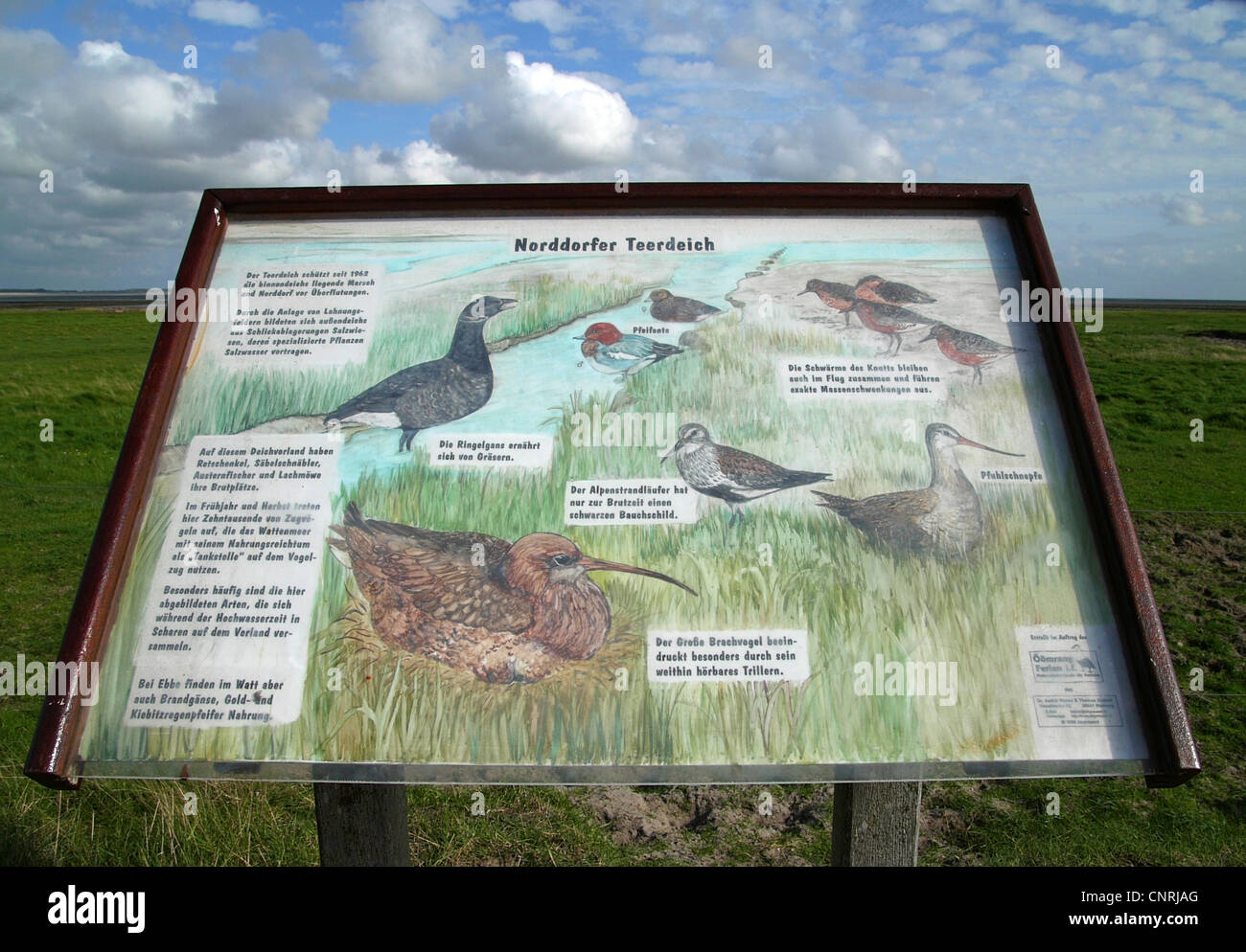 Segnale di informazione circa gli uccelli sull isola di Amrum, Germania, Schleswig-Holstein, Amrum, Norddorf Foto Stock