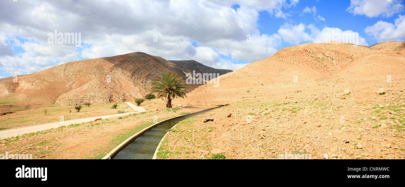 La gestione delle acque nel deserto Foto Stock