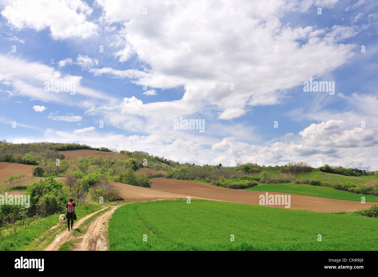 Giovane donna escursionista con il cane nel paesaggio di campagna Foto Stock