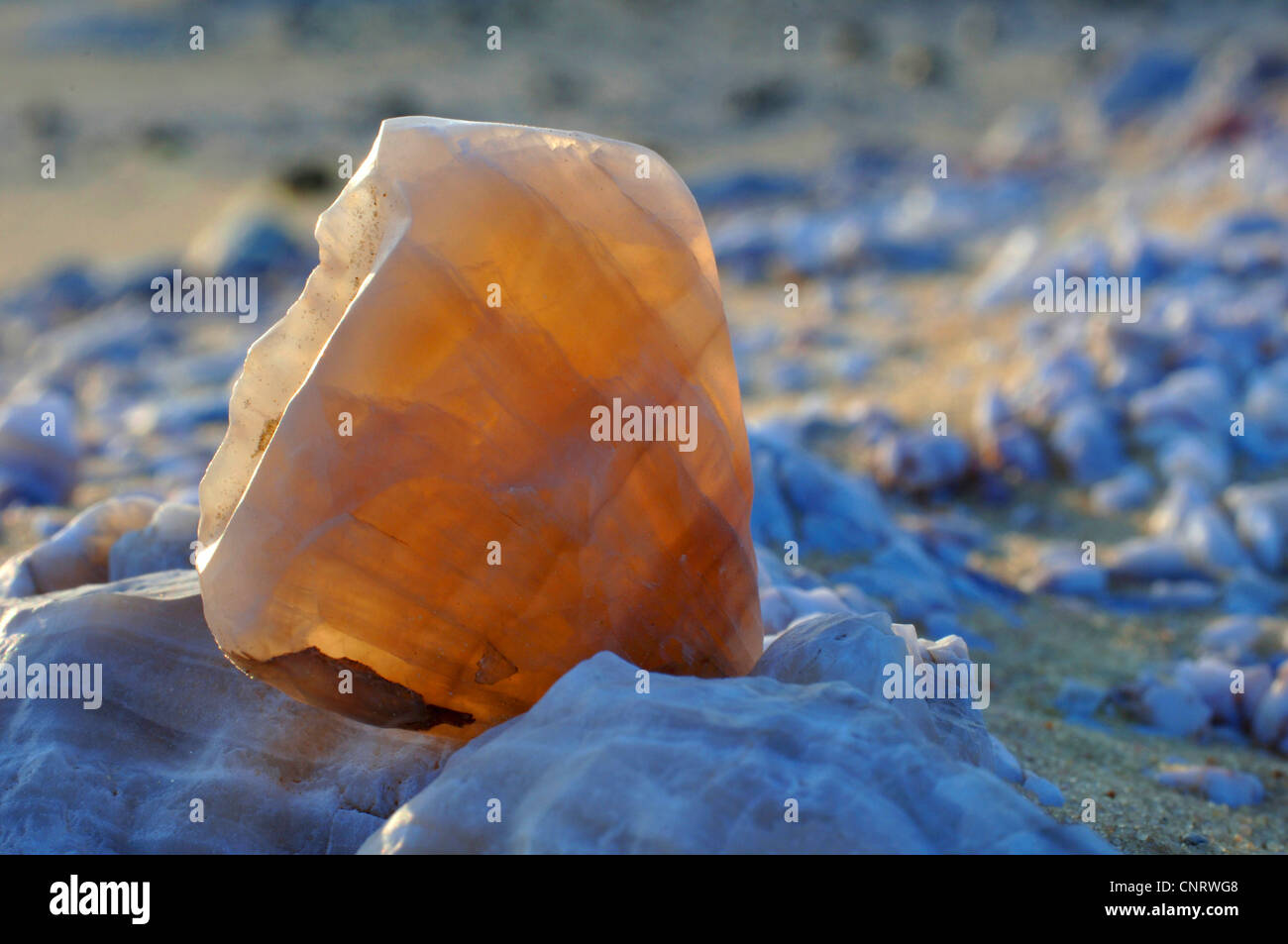 Calcite cristallo in controluce, Egitto, White Desert National Park Foto Stock