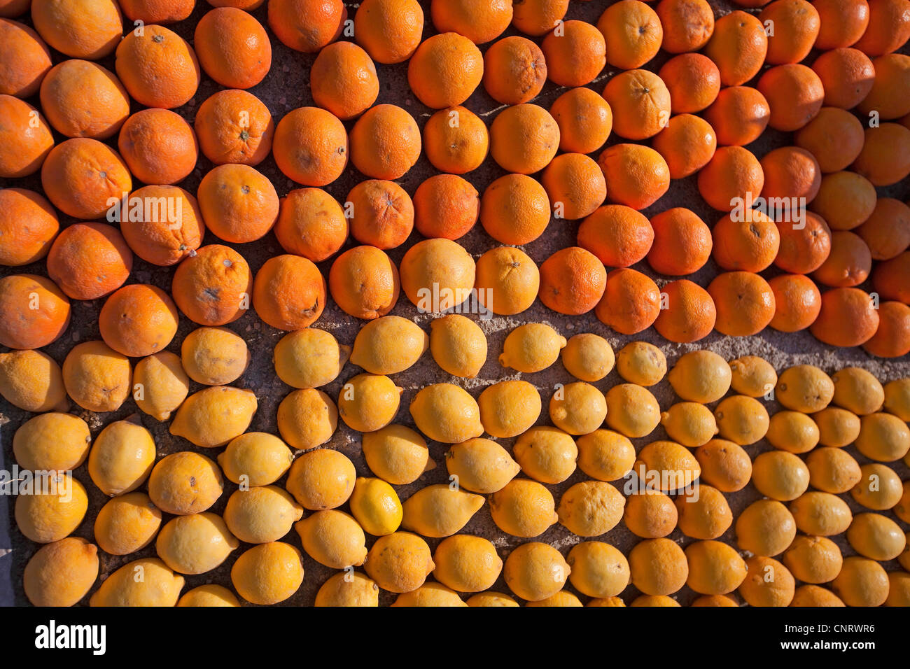 Arance e limoni visualizzati facendo pattern a lemon festival 2012 in Menton Alpes Maritimes Francia 125122 Limone di Menton Foto Stock