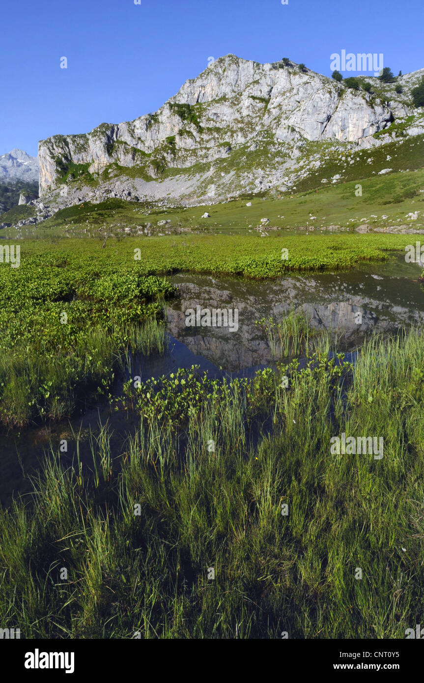 Il Lago Ercina, lago Ercina, Spagna, Asturien, Covadonga Foto Stock