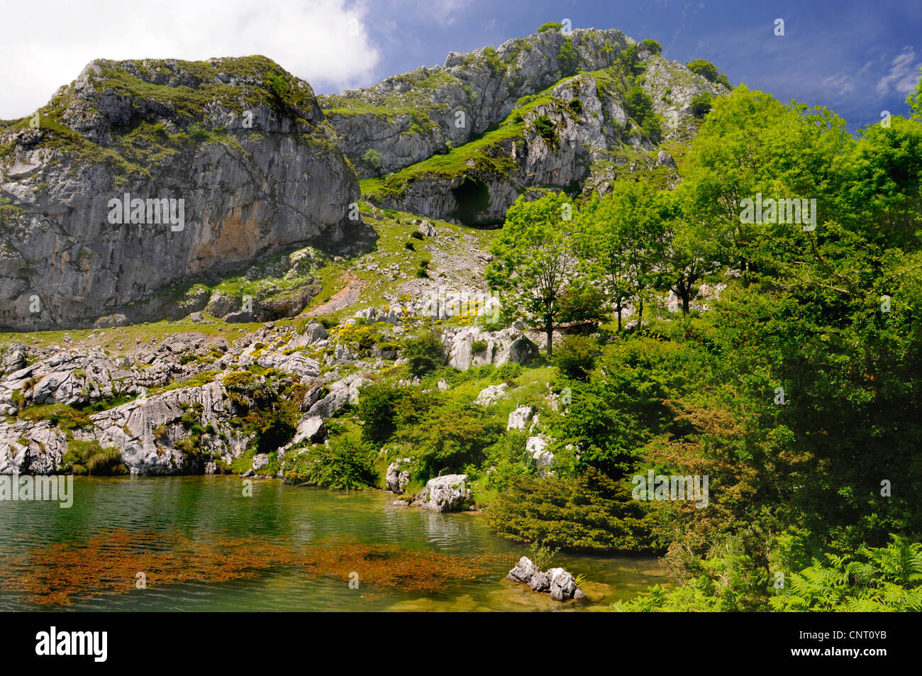 Paesaggio di montagna al lago Enol, Spagna, Asturien, Nationalpark Picos de Europa Foto Stock