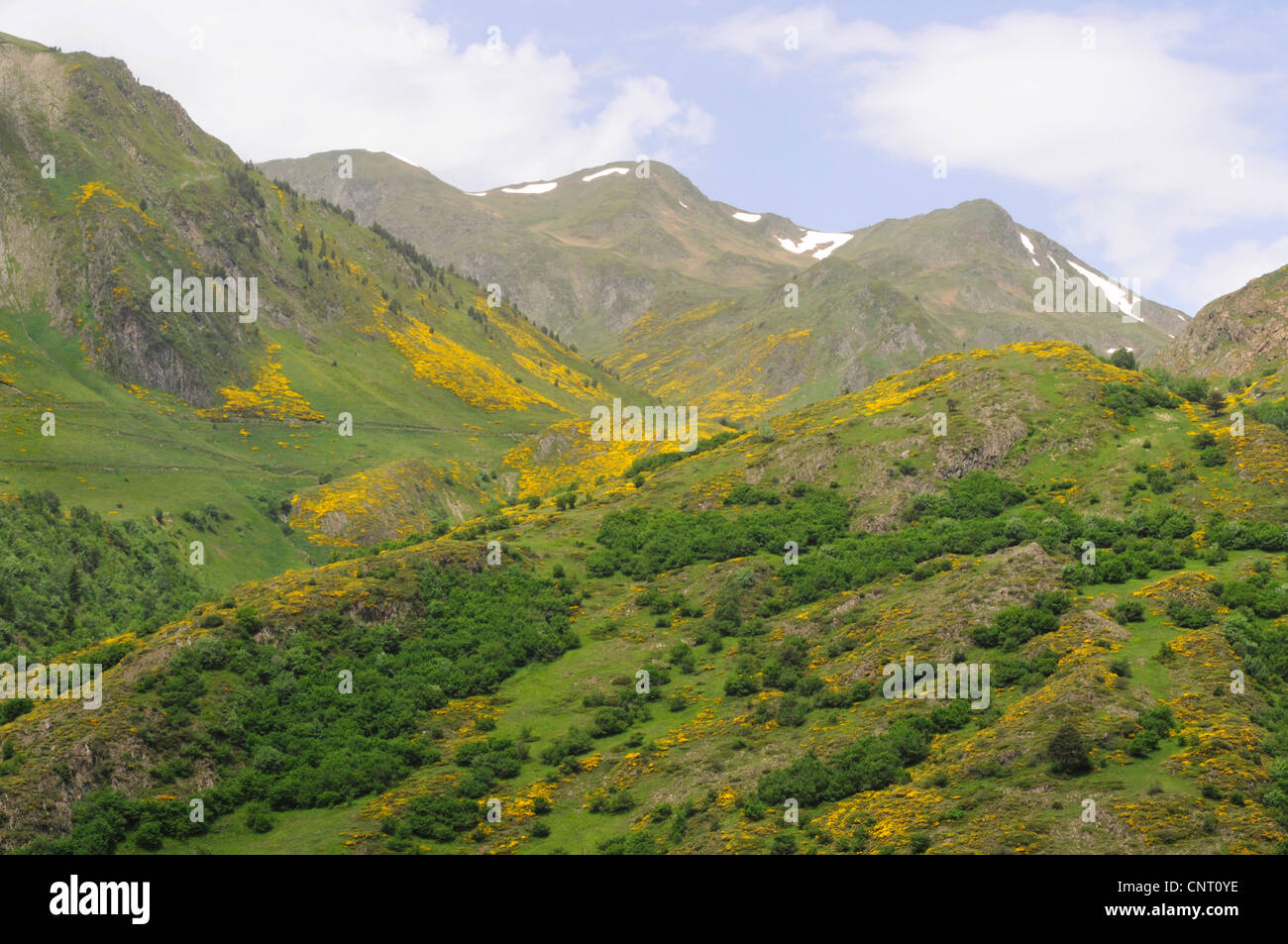 Paesaggio di montagna nella valle di Aran, Spagna, Pirenei, Katalonia, Val dAran Foto Stock