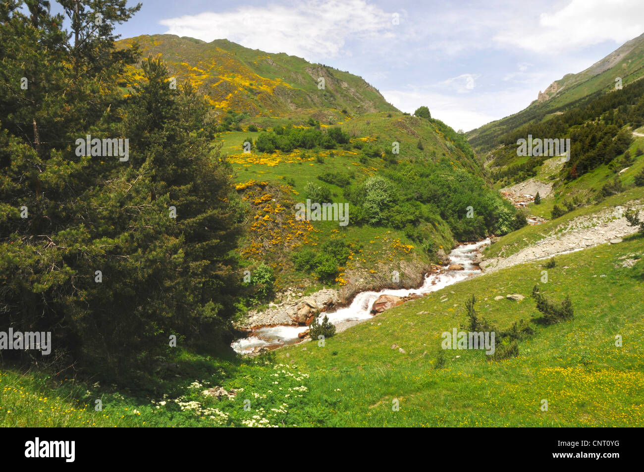 Valle di Aran nei Pirenei, Spagna, Katalonia, Pirenei, Pirenei Foto Stock