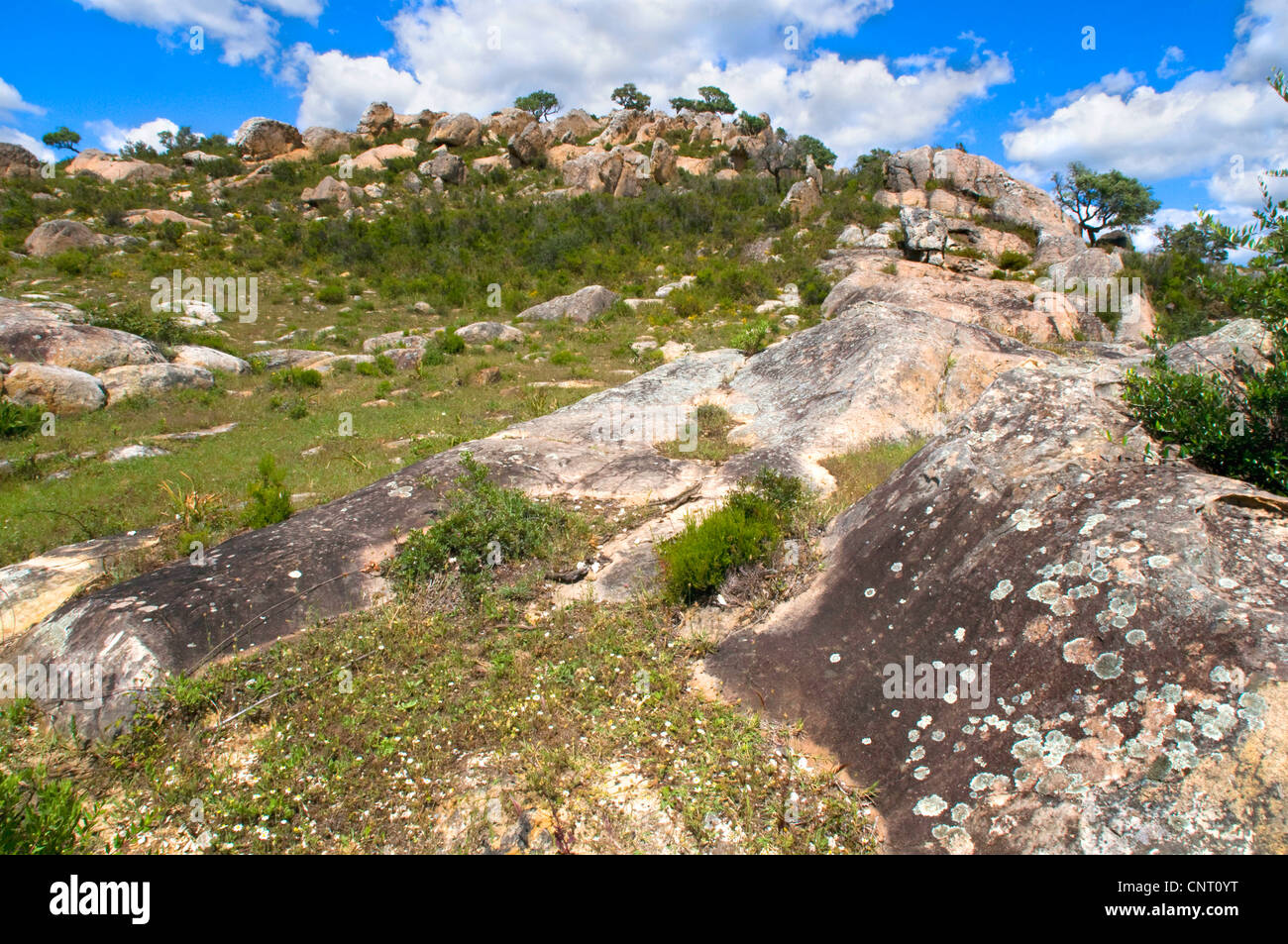 Paesaggio di roccia in Andalusia Andalusia Foto Stock