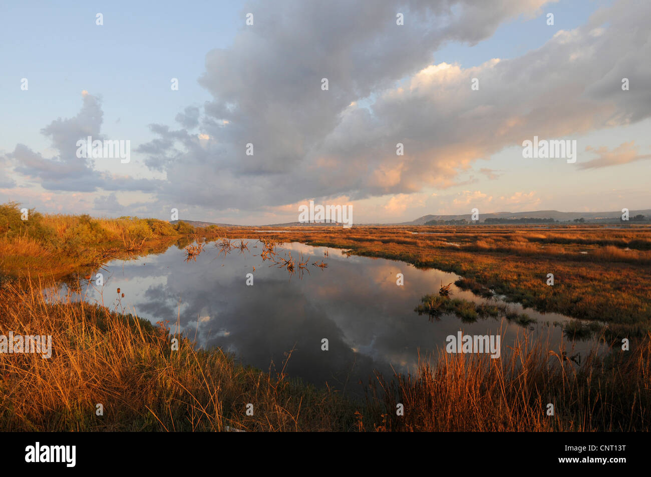 Scenario di mattina con nuvole di mirroring in acqua di una laguna di Gialova, Grecia, Peloponnes, Gialova Lagune Foto Stock