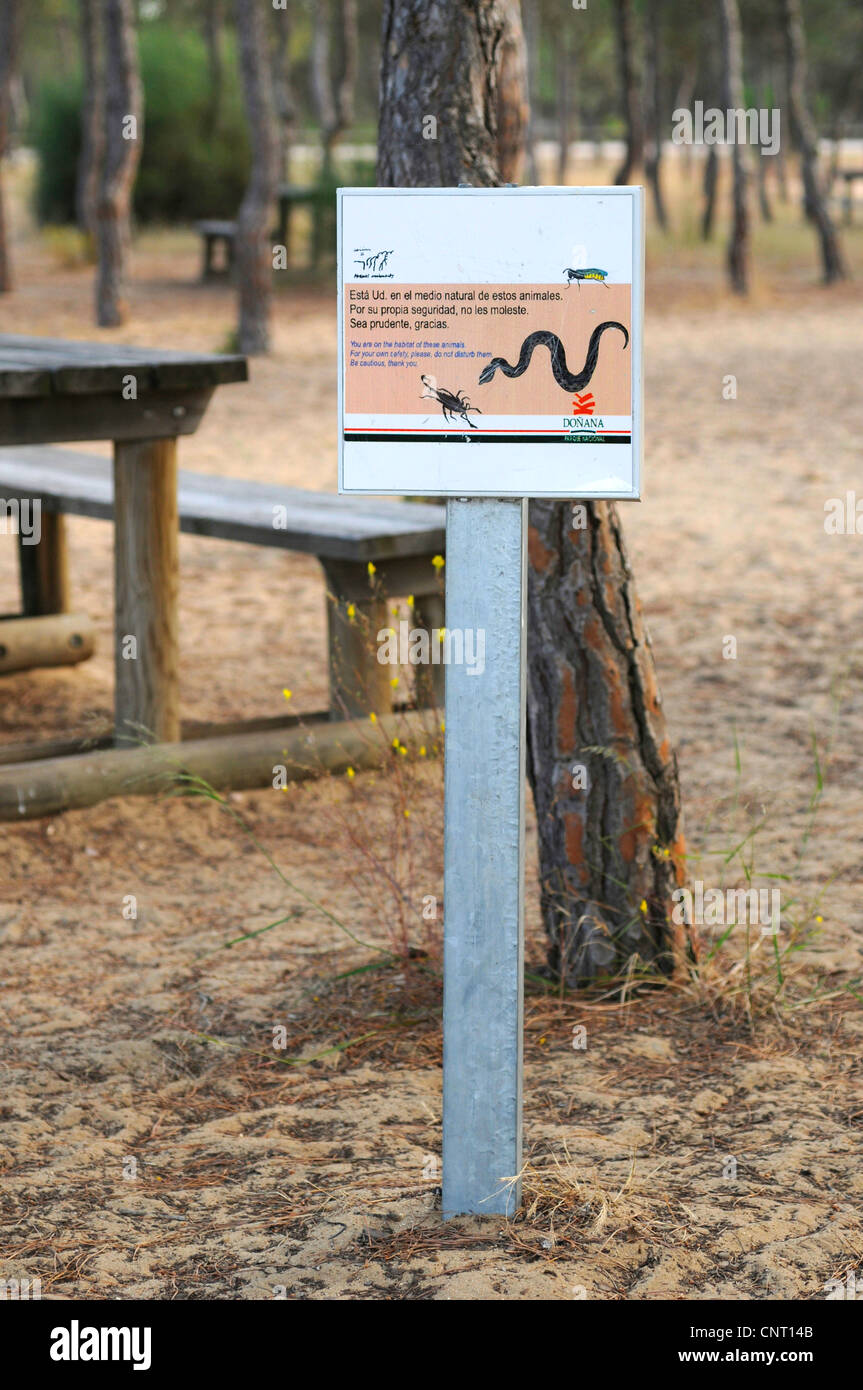 Camuso naso-viper, Lataste di vipera (Vipera latastei), informazioni segno nel Parco nazionale di Donana, Spagna, Andalusia, parco nazionale di Donana, El Rocio Foto Stock