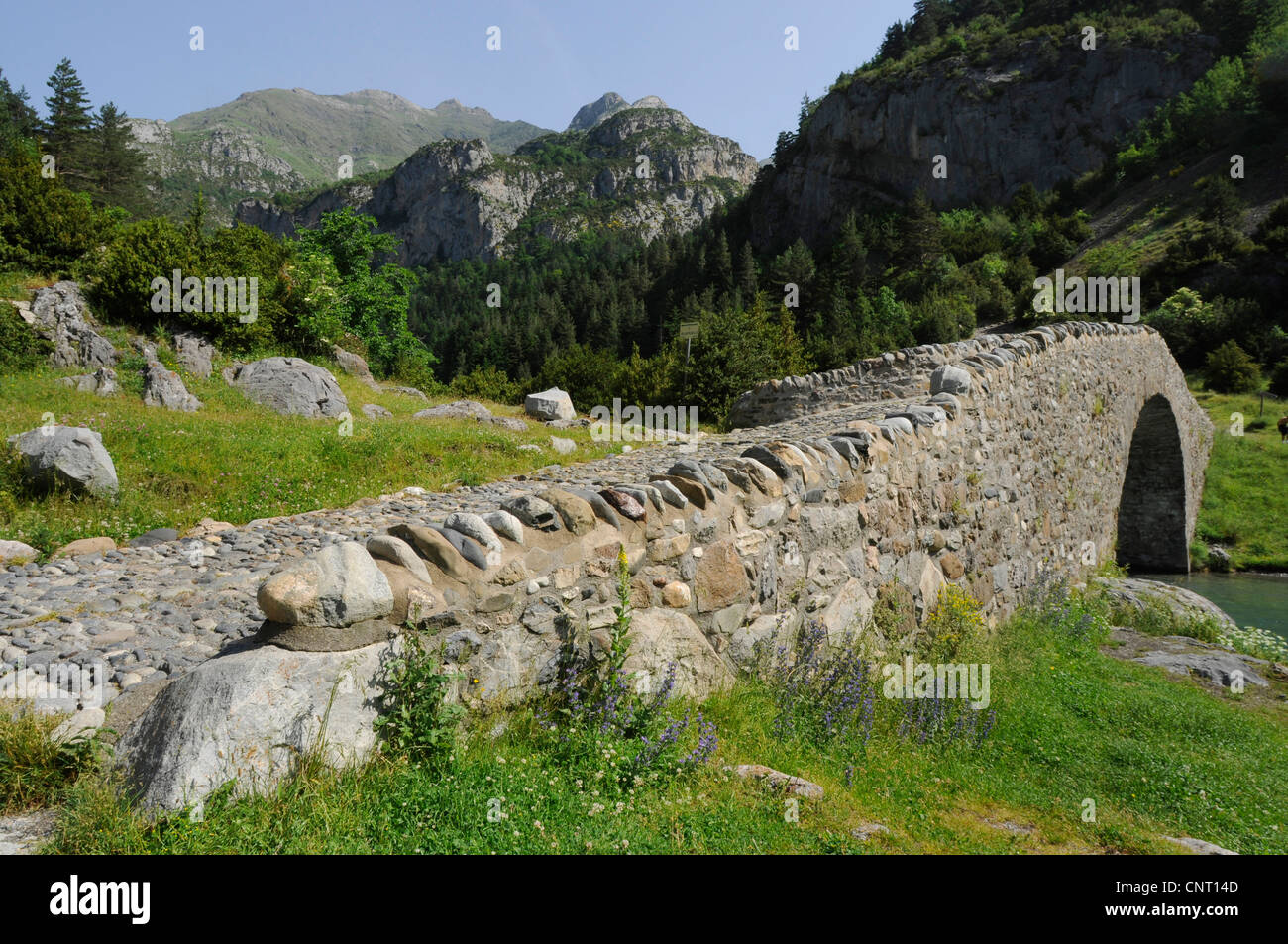 Il ponte di pietra nel Parco Nazionale di Ordesa, Spagna, Pirenei, Ordesa National Park Foto Stock