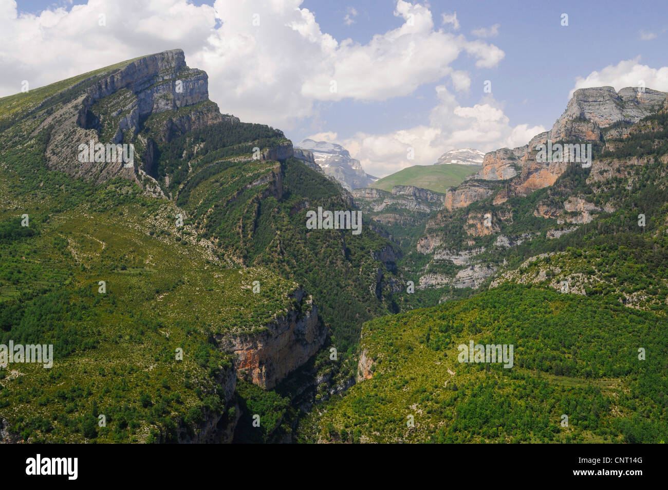 Paesaggio di montagna dei Pirenei, Spagna, Pirenei, Katalonia Foto Stock
