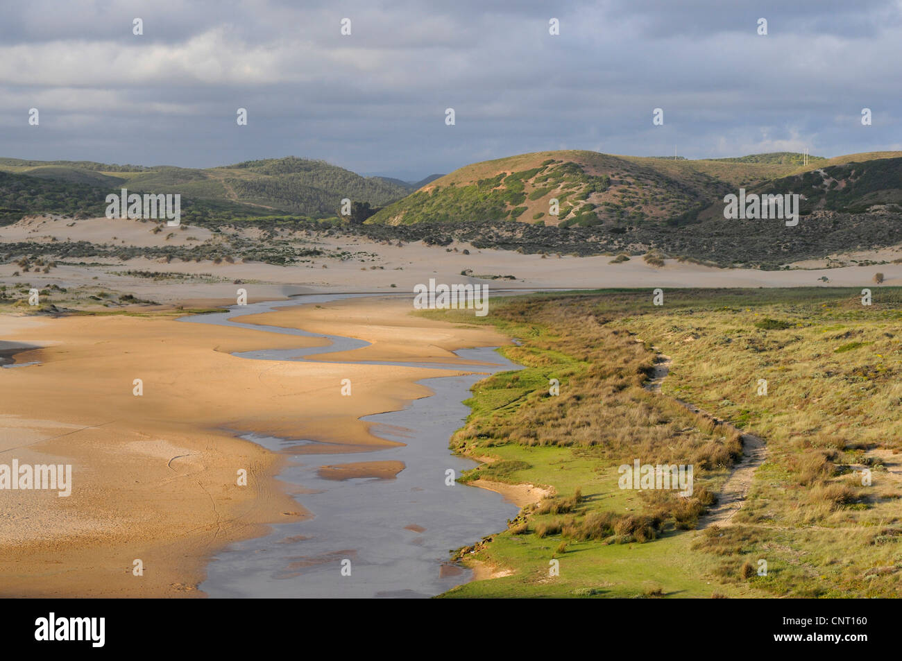 Sul delta del fiume nel Parco Naturale di Carrapateira Portogallo, Algarve Foto Stock