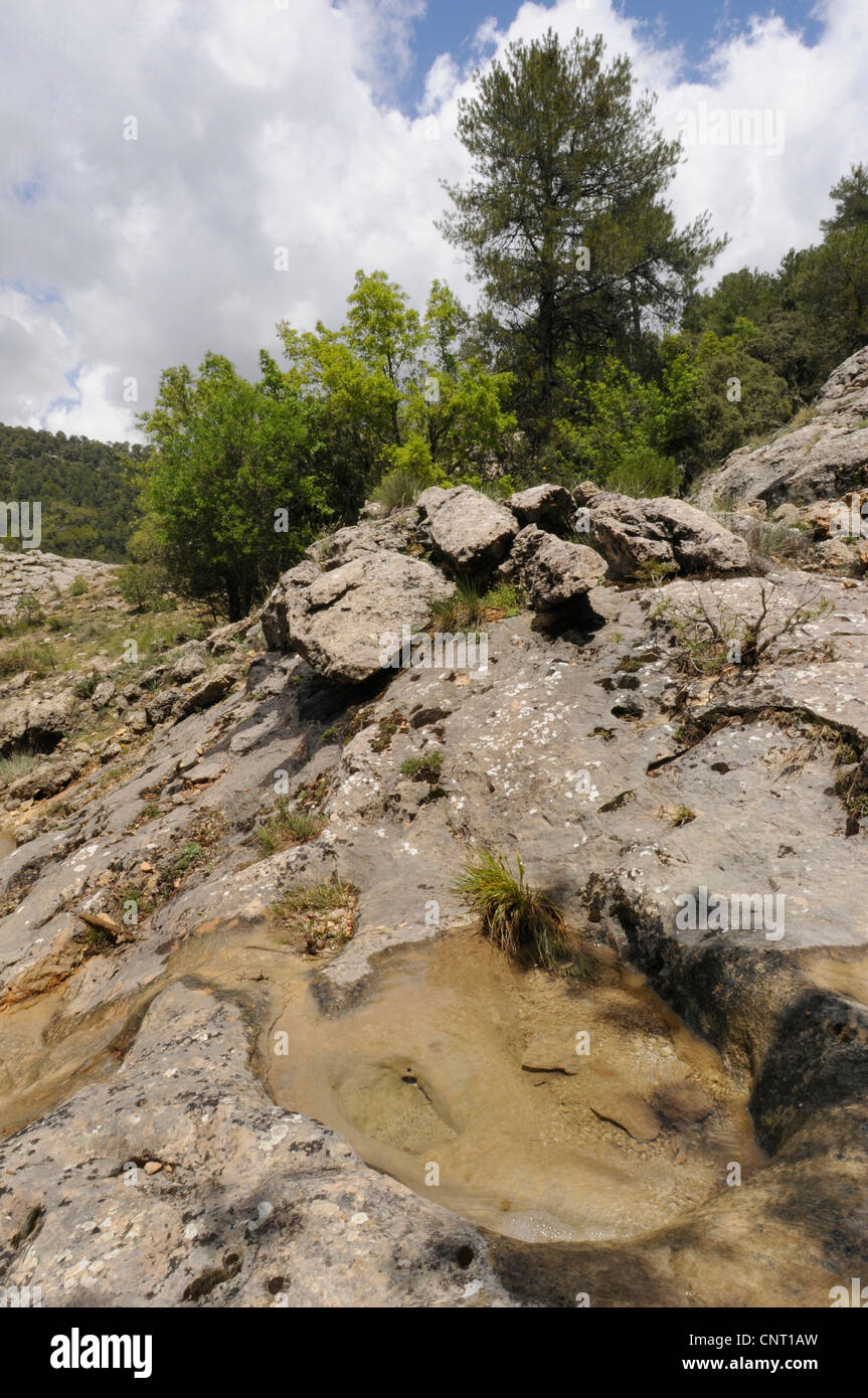 Asciugata creek a parco naturale Sierra de Cazorla, Spagna, Andalusia, Naturpark Sierra de Cazorla Foto Stock