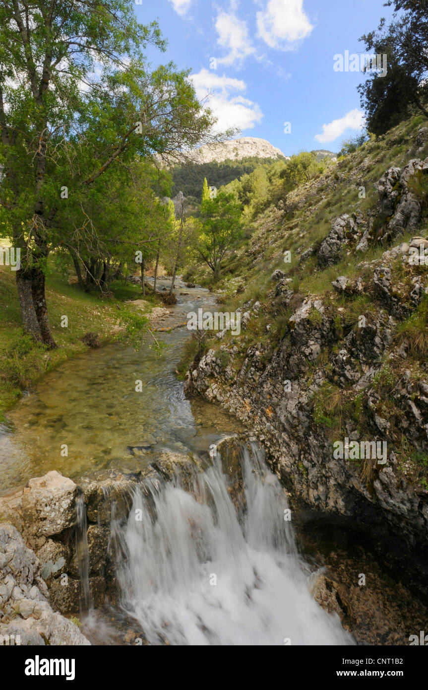 Cascata nella Sierra de Cazorla, Spagna, Andalusia, Naturpark Sierra de Cazorla Foto Stock