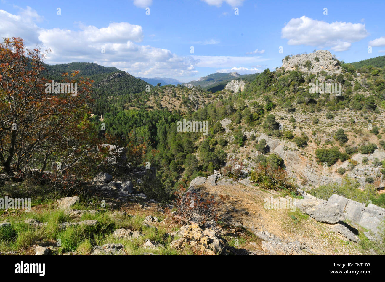 Paesaggio di montagna nel parco naturale della Sierra de Cazorla, Spagna, Andalusia, Naturpark Sierra de Cazorla Foto Stock