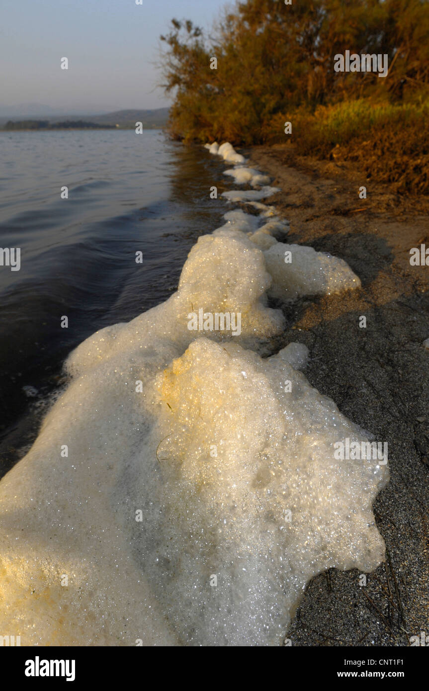 Schiuma naturale presso la linea di deriva di acqua salmastra laguna, Grecia, Peloponnes Foto Stock