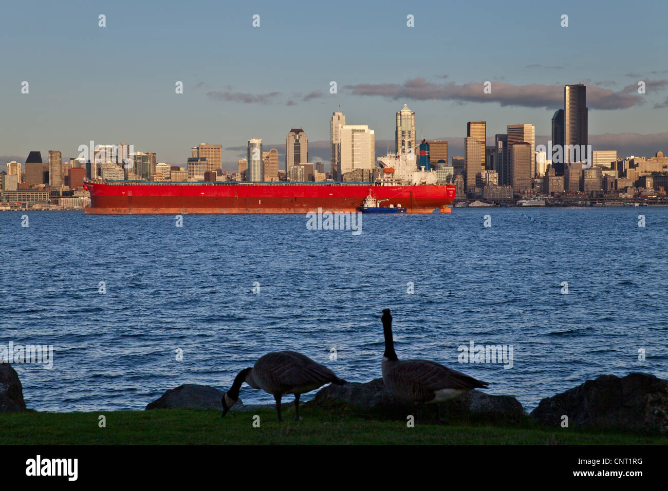 Nave da carico che sono ancorate al largo di Seattle, Washington, Stati Uniti d'America Foto Stock