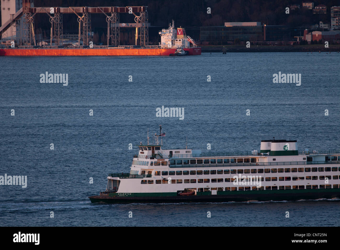 Traghetto per auto e freighter caricamento al terminale di grano, Seattle, Washington Foto Stock
