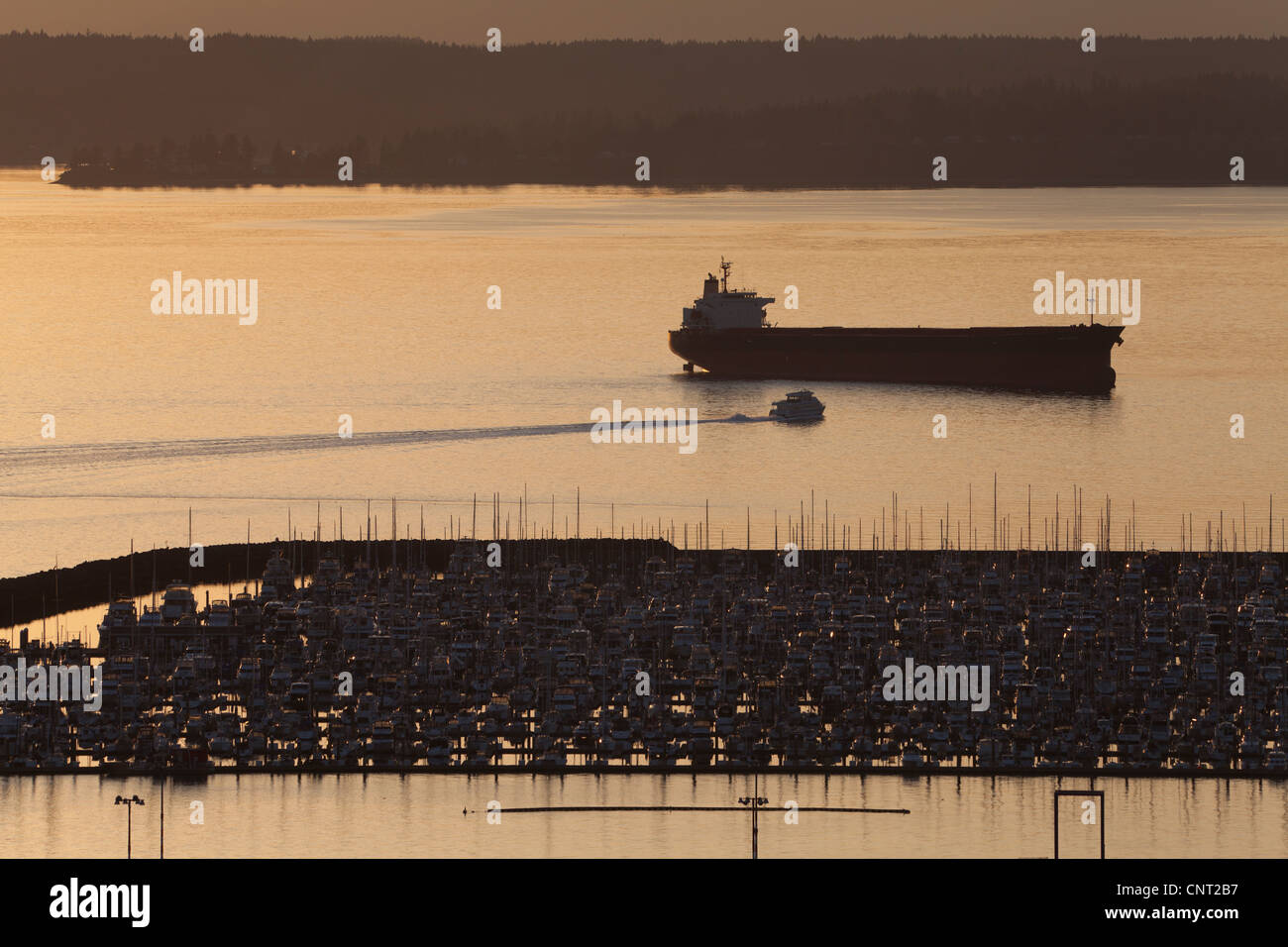Nave ancorata, Elliott Bay Marina, Puget Sound, Seattle, Washington, Stati Uniti d'America Foto Stock