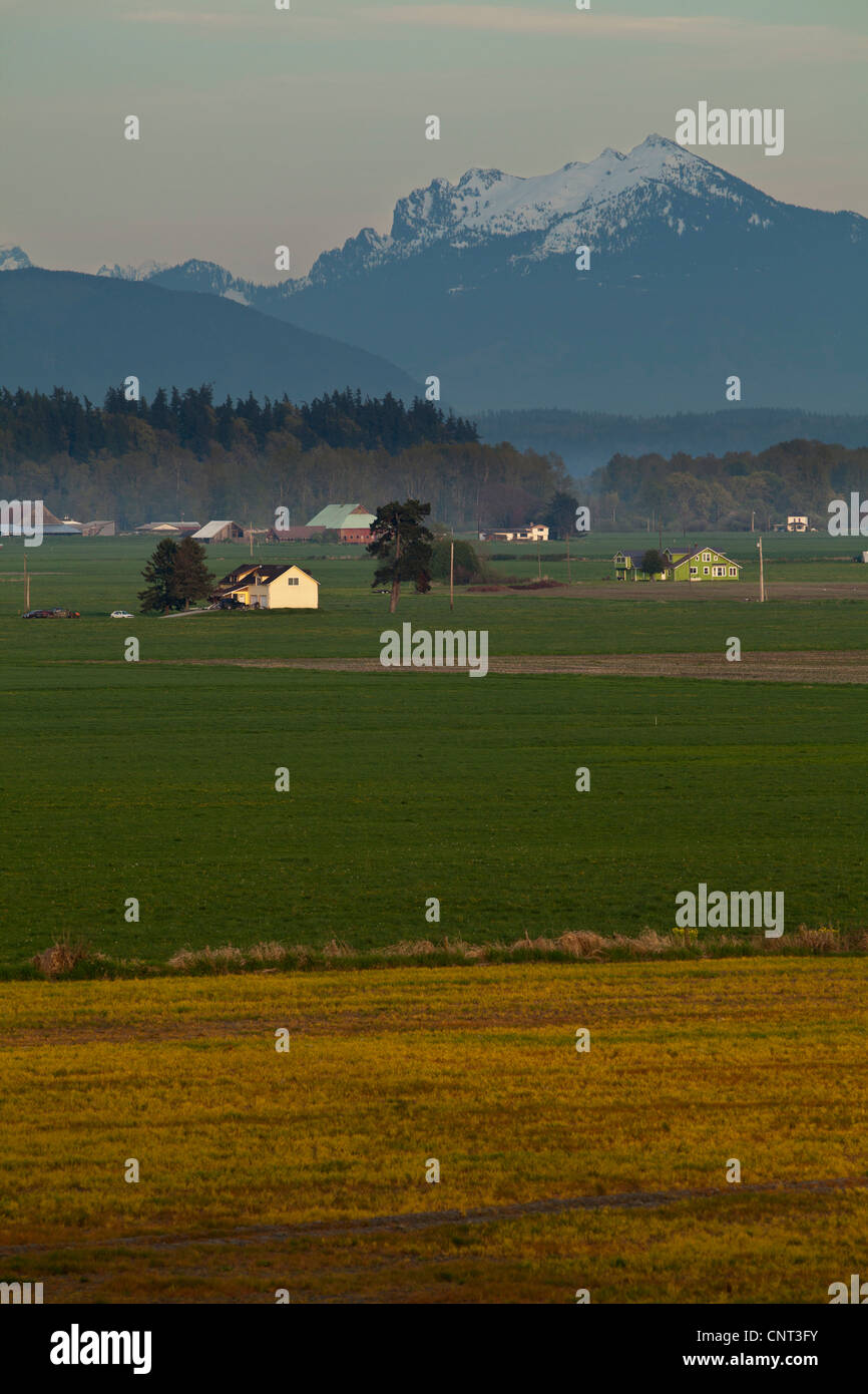 I terreni agricoli della valle Stillaguamish con il North Cascades montagne dietro, Washington Foto Stock