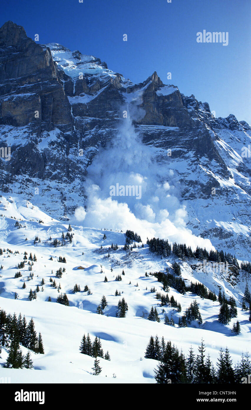 A valanga da Wetterhorn, Svizzera, Alpi Foto Stock