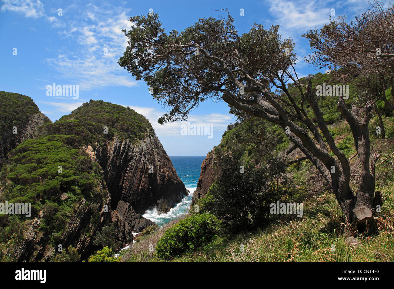 Costa vicino Seal Rocks, Australia Nuovo Galles del Sud, Myall Lakes National Park Foto Stock