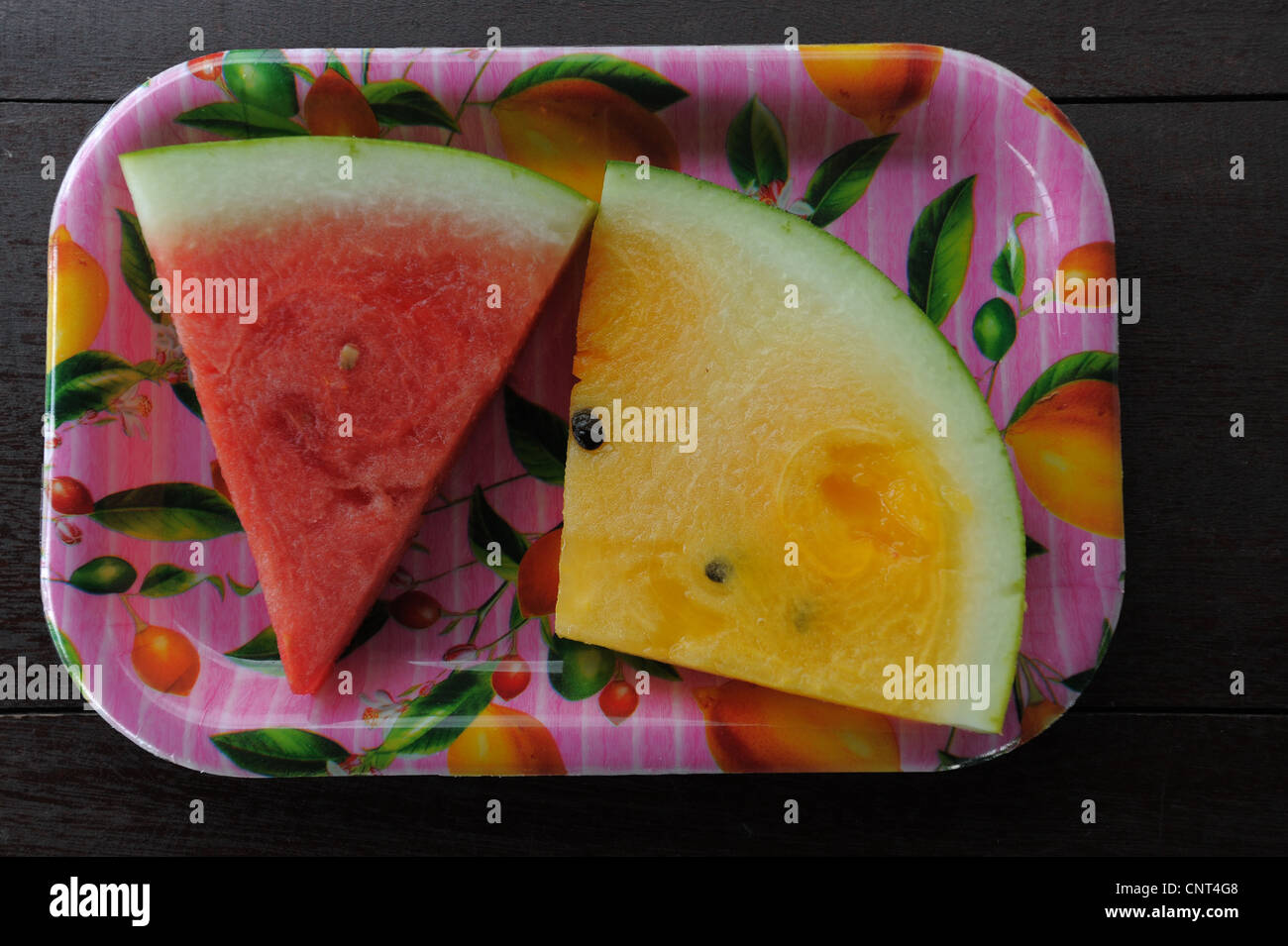 Water melon , azienda frutticola, kuah, Langkawi, Malesia, Foto Stock