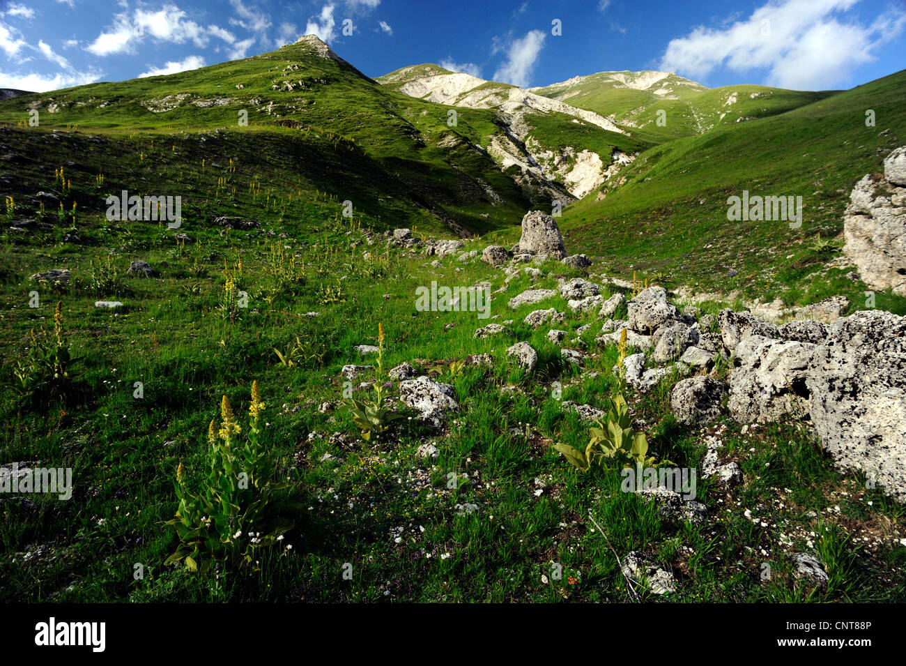 Cime di montagna con prati aridi e massi, Italia, Abruzzo Foto Stock
