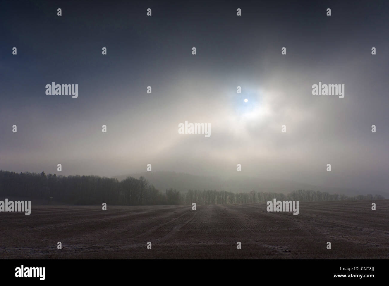 Sunris nella nebbia di mattina oltre il paesaggio innevato, in Germania, in Sassonia, Vogtlaendische Schweiz Foto Stock