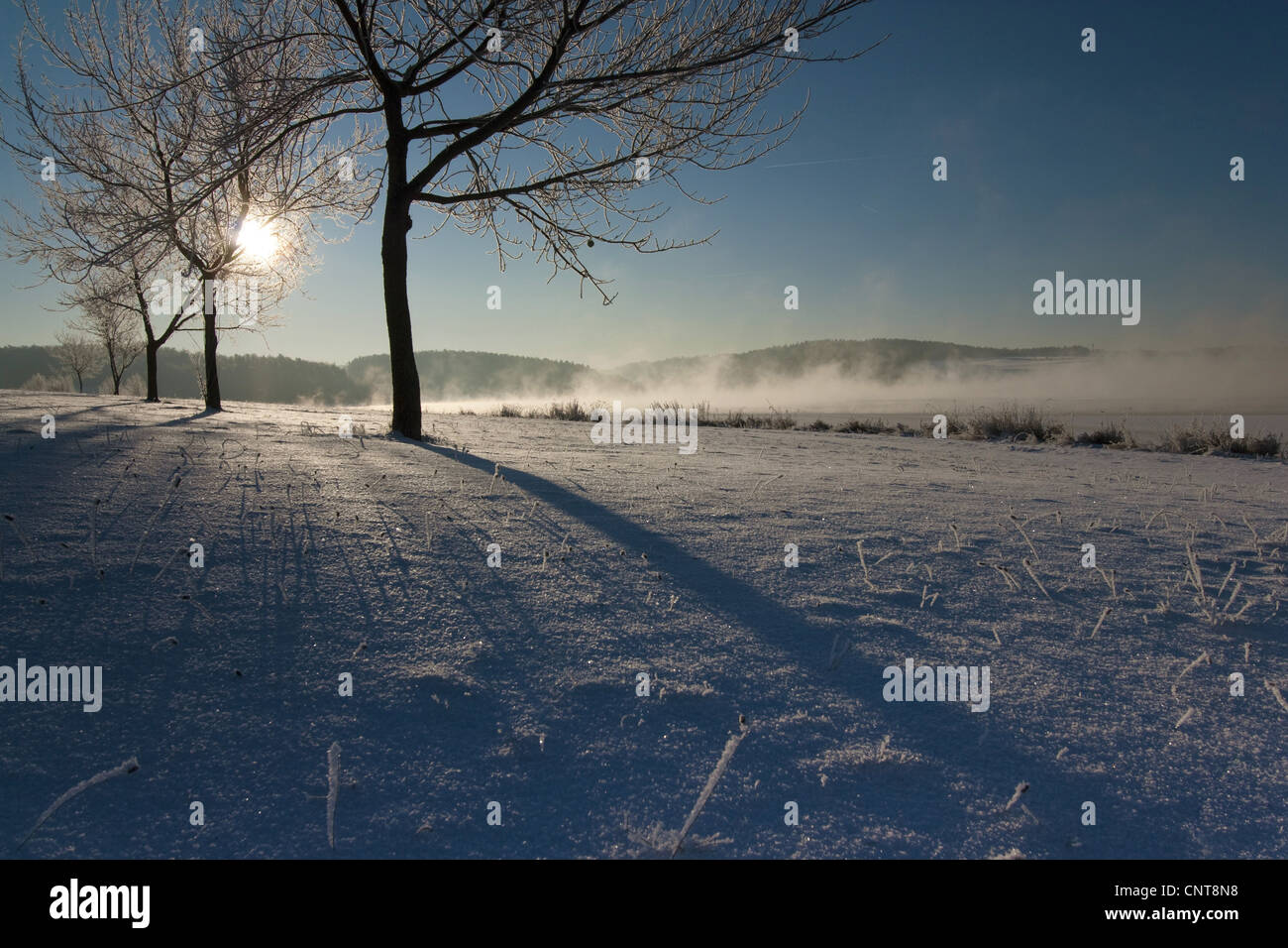 Alba sul paesaggio innevato con nebbia di mattina, in Germania, in Sassonia, Vogtlaendische Schweiz Foto Stock