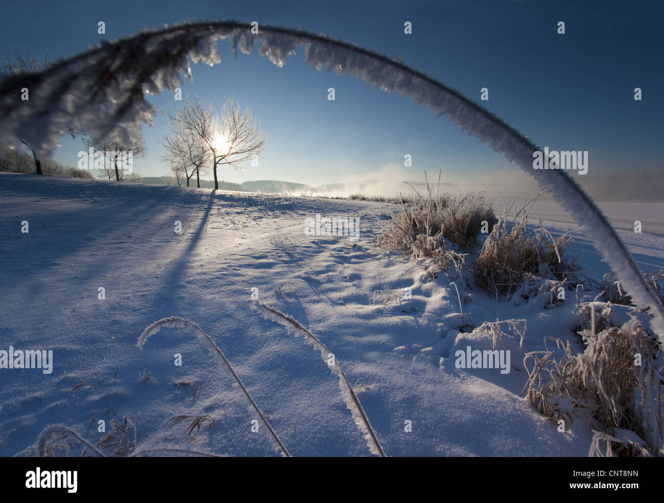 Alba sul paesaggio innevato con nebbia di mattina, in Germania, in Sassonia, Vogtlaendische Schweiz Foto Stock