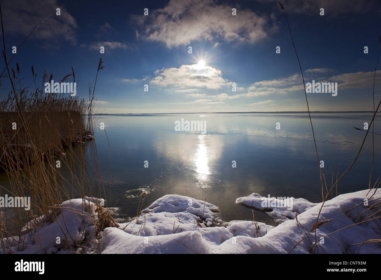 Idilliaco paesaggio invernale in una laguna con reed e la neve e il mirroring del sole nell'acqua, Germania, Meclemburgo-Pomerania, Wustrow am Bodden Foto Stock