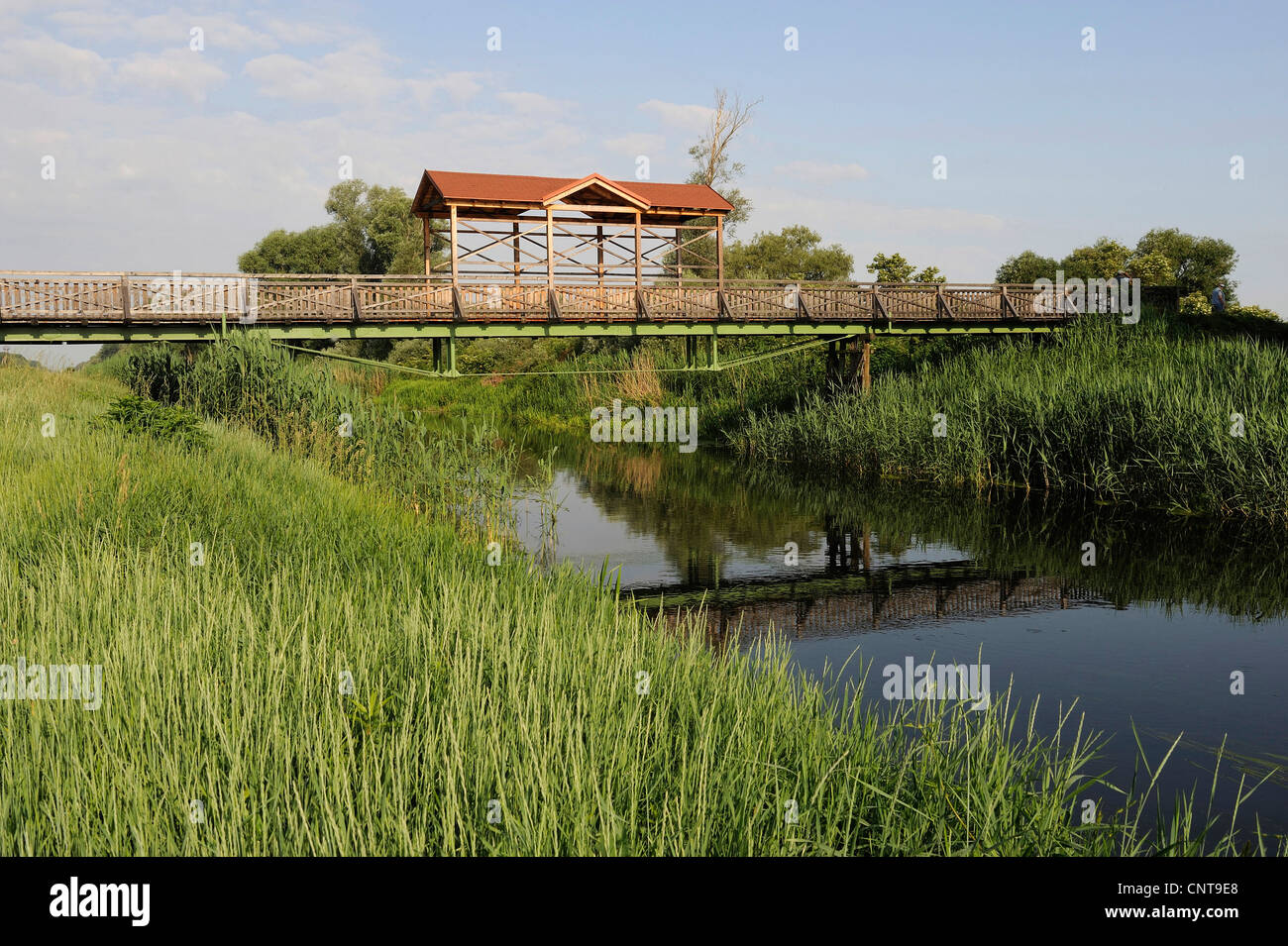 Ponte di Andau oltre Einser canal al confine tra Austria e Ungheria, Austria, Burgenland Foto Stock